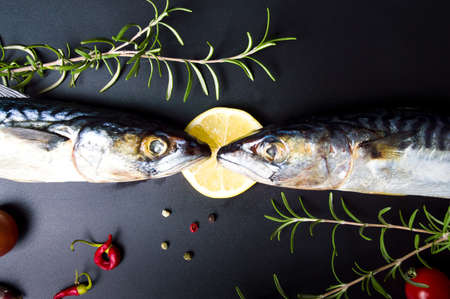 Raw mackerel fish and cooking ingredients on dark tableの写真素材