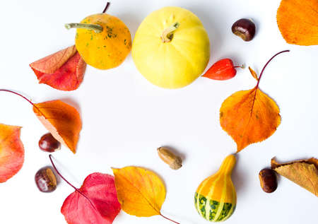 Autumn and Thanksgiving abstract background with copy space on whiteの写真素材