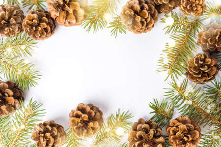 Pine cones festive background with fir branch flat lay