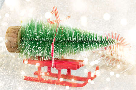 miniature fir tree tied to red sledsの写真素材