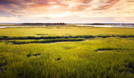 Aerial view of a swamp scenery at sunriseの写真素材