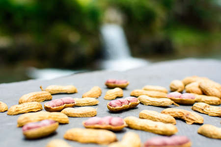 Opened peanuts isolated on the rock in the nature