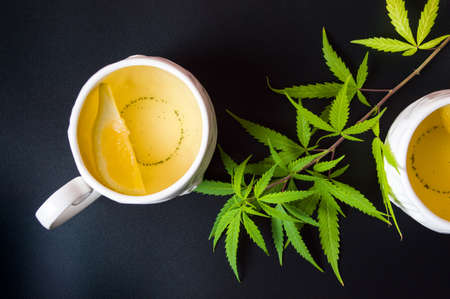 Cannabis tea with marijuana branch and lemonの写真素材