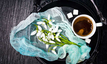 Snowdrop flowers and a cup of coffee served on a trayの写真素材