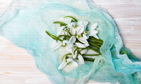 Snowdrop winter flowers bouquet on blue textile top viewの写真素材
