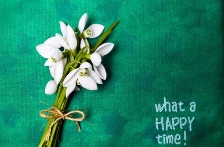 Snowdrop flowers and Happy time note on green background