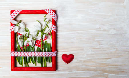 Snowdrop flowers in a red photo frame on wooden tableの写真素材