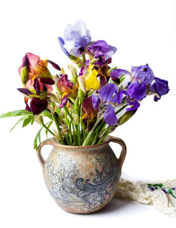 Mixed iris flowers in a vase against white backgroundの写真素材