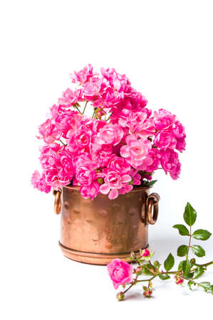 Red roses bouquet in a retro metal can on whiteの写真素材