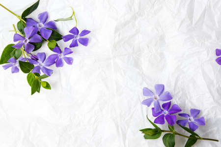 Purple lilac flowers on white fabric top viewの写真素材