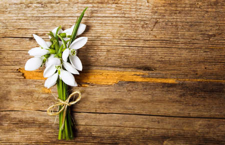Snowdrop flowers on rustic wooden background top viewの写真素材