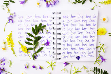 Word love written on a notebook with colorful wildflowersの写真素材