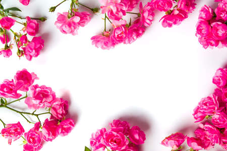 Pink roses on white background top view flat layの写真素材