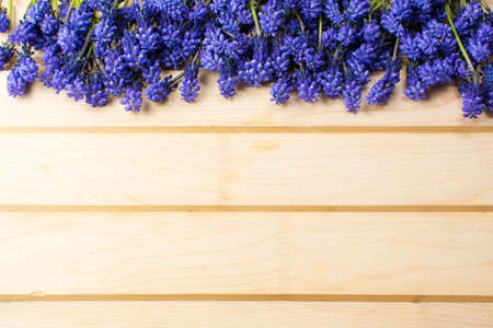 Hyacinth flowers on a wooden board with copyspaceの写真素材
