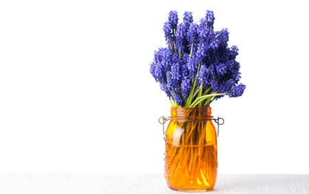 Hyacinth flower bouquet in a vase isolatedの写真素材