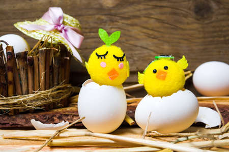 Toy chicken in broken eggshell in rustic environmentの写真素材