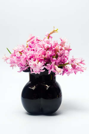 Hyacinth spring flowers bouquet in a vase on white backgroundの写真素材