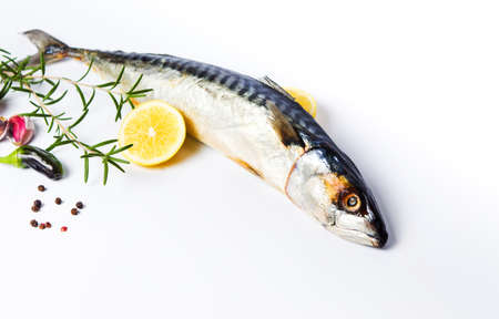 Raw mackerel fish with spices isolated on white backgroundの写真素材