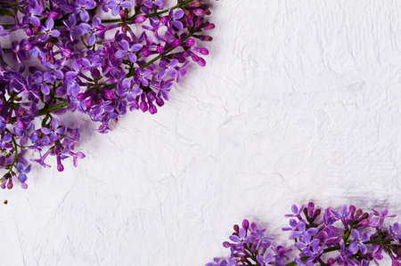 Purple Lilac flowers arrangement on white fabric