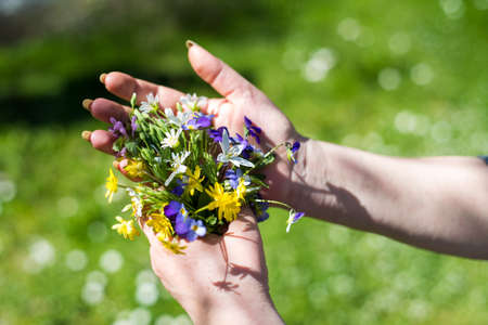Woman holding spring flowers bouquet in the fieldの写真素材