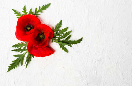 Poppy flowers arrangement on white background top viewの写真素材
