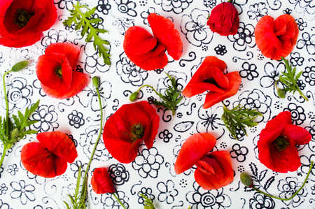 Poppy flowers arrangement on painted background top viewの写真素材