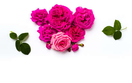 Pink roses arrangement on white background top view