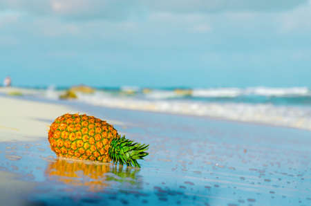 Pineapple on the beach reflected in the water with the sea in the backgroundの写真素材