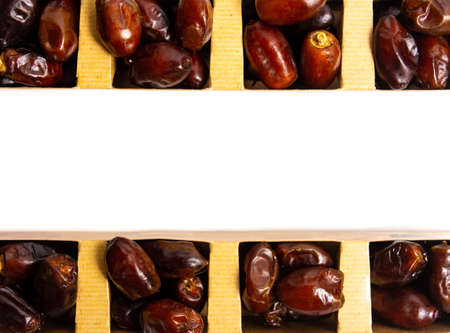 Fresh dates fruit dates on white background isolated