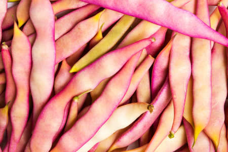 Purple beans on a pile, organic healthy food abstract