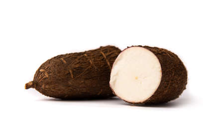 Tapioca root on white background isolated, healthy foodの写真素材