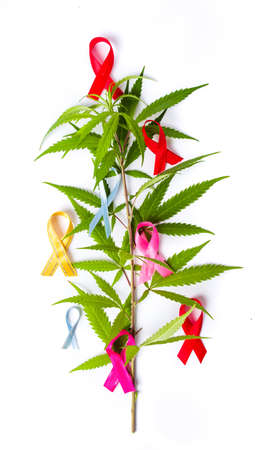 Marijuana leafs with Cancer awareness symbols made of ribbonsの写真素材