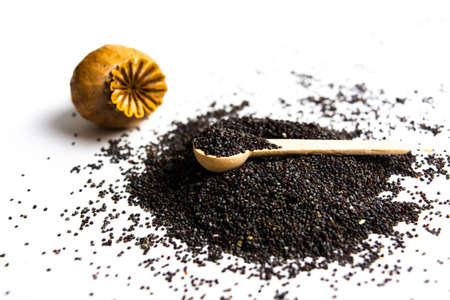 Poppy seeds and pod isolated on white backgroundの写真素材