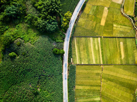 Rice and sugar cane fields of south China divided by road aerial view