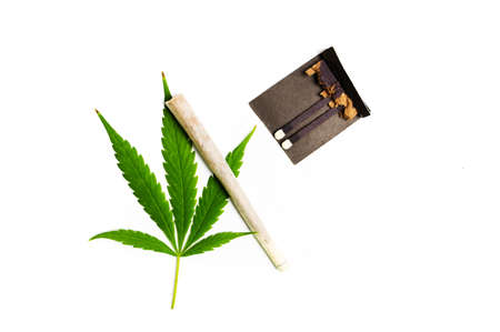 Marijuana leaf and wrapped joint on white backgroundの写真素材
