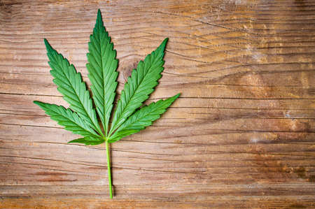 Marijuana leaf on a rustic wooden backgroundの写真素材