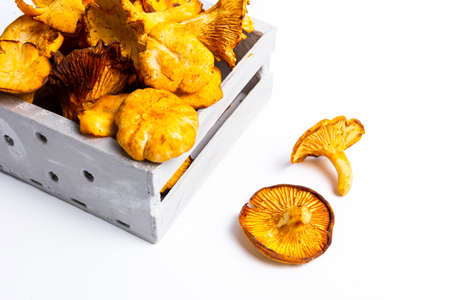Raw Golden chanterelle mushroom on a tableの写真素材