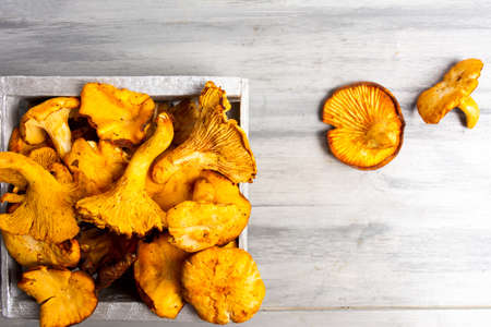 Raw Golden chanterelle mushroom on a tableの写真素材