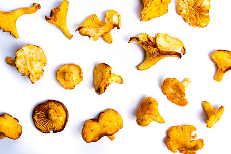 Raw Golden chanterelle mushroom isolated on whiteの写真素材