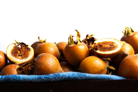 raw medlars on a white background close up