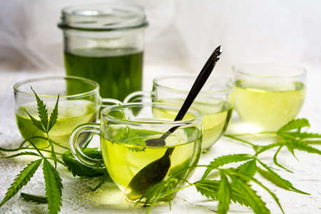 Cannabis herbal tea served in glass teacups with marijuana leavesの写真素材