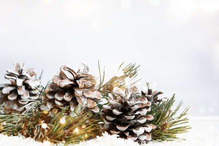 Christmas abstract background with pinecones and fir treeの写真素材