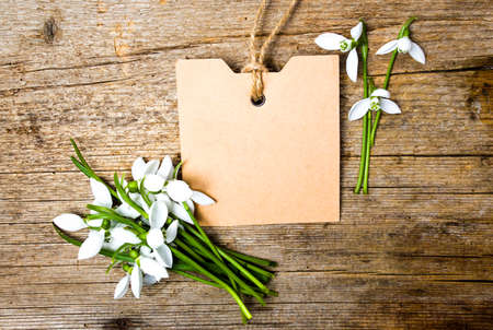 Snowdrop flowers and an empty note card on wooden backgroundの写真素材