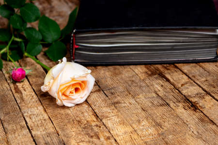 Homegrown rose and vintage book on a wooden tableの写真素材