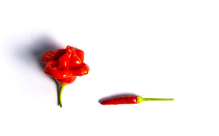 Bishop's crown flower shaped and chili pepper on white backgroundの写真素材