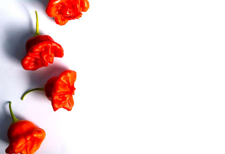 Bishop's crown flower shaped decorative peppers on white backgroundの写真素材