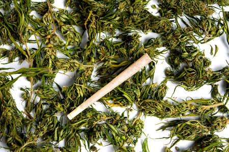 Marijuana cannabis hemp and a joint on white top viewの写真素材