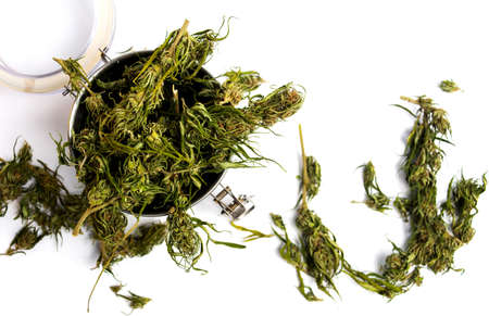 Marijuana cannabis hemp in blossom in a metal canの写真素材