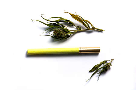 Marijuana cannabis hemp and a joint on white top viewの写真素材