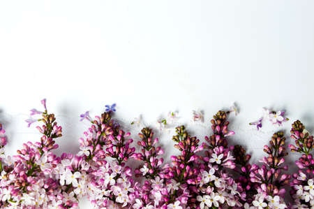 Lilac flowers arrangement with copy space top viewの写真素材